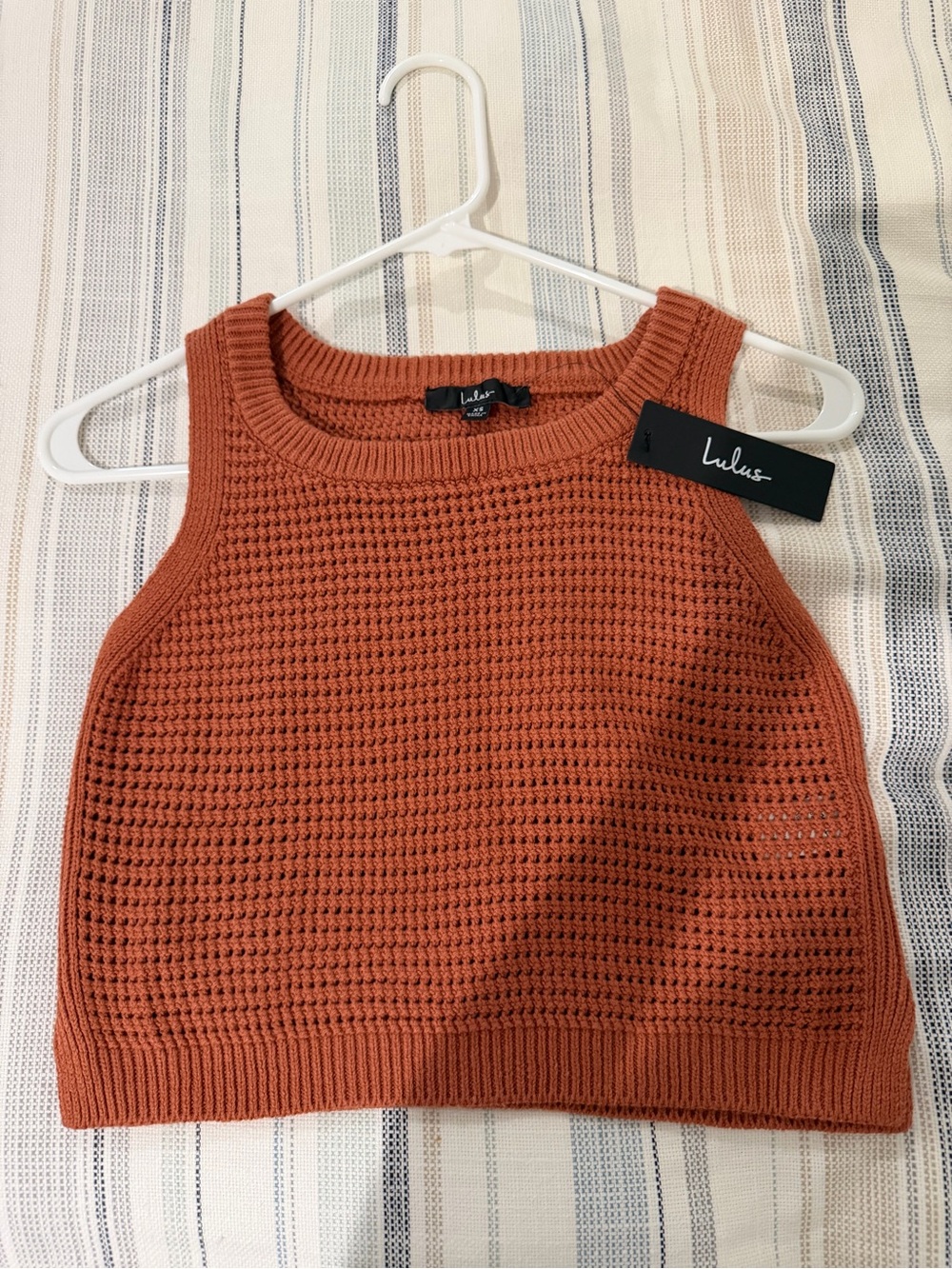 Lulu's Terracotta Knit Sleeveless Crop Top